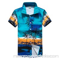 Trule Men's Hawaiian Print T-Shirt Sports Casual Beach Quick Dry Loose Blouse Tops Blouse Blue B07QB2J894